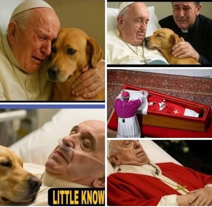 😭🇺🇸😭Very Sad ,39 Minutes Ago In Chicago, He Has Been Confirmed As…See more