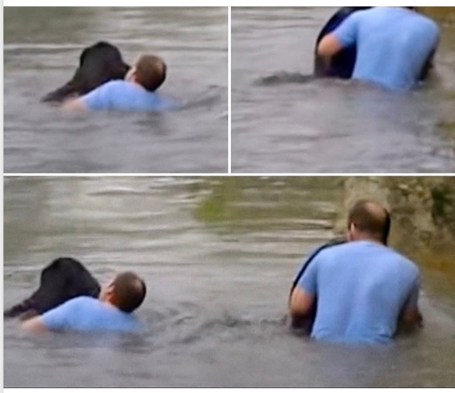 Zookeepers refuse to save drowning chimpanzee – then a truck driver breaks into his cage
